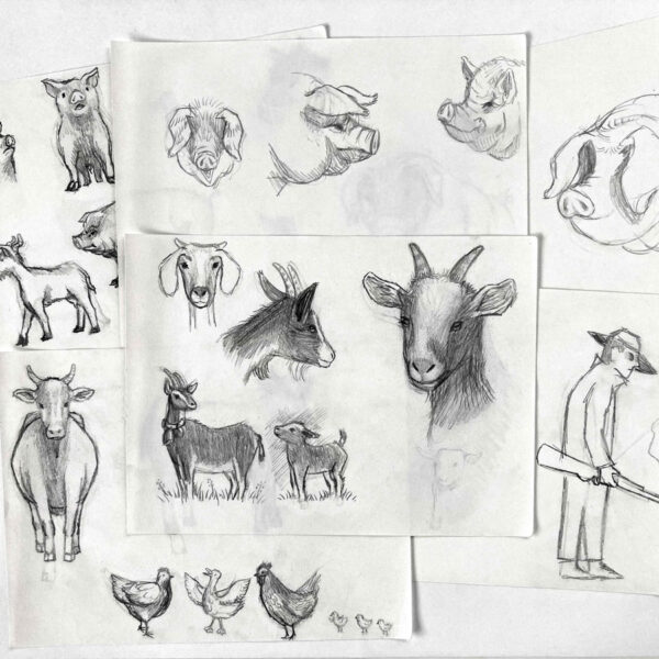 croquisanimaux