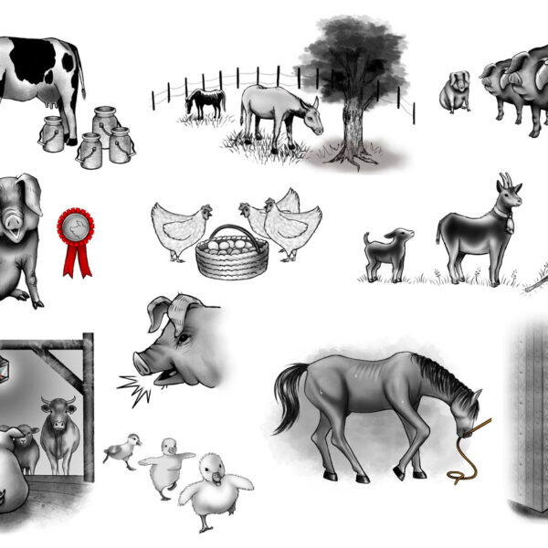plancheanimaux